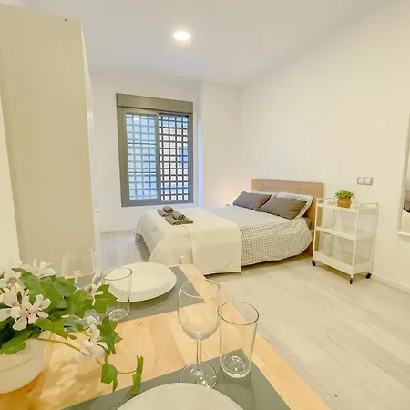 Apartament Estudio En Centro
