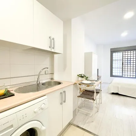 Estudio En Centro Apartament *