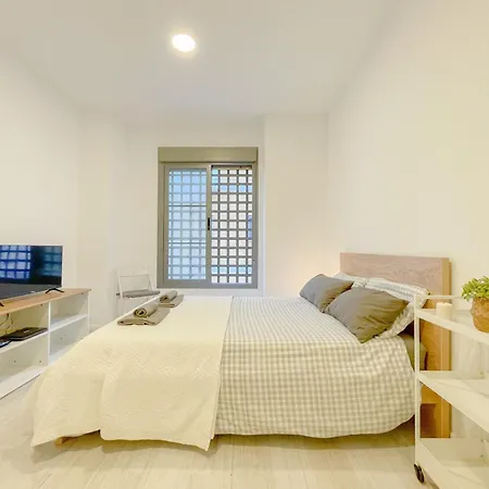 Estudio En Centro Apartament